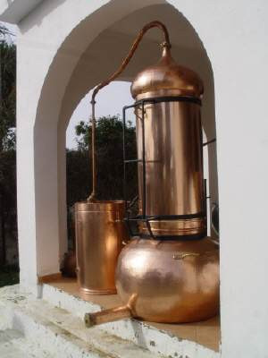 Kolonnenbrennerei, 300 Liter Kesselgrösse